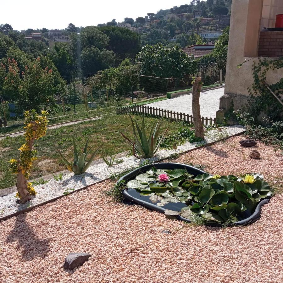 Villa Blanca 10 Minutos De La Playa Costa Brava Massanet De La Selva Bagian luar foto